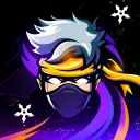 theninjaproxd