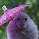 Аватар wkey6061