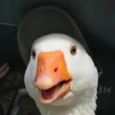jukadenis