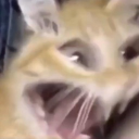 RaeIshBae