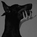 avatar .𝐿𝑖𝑎