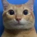 edwincosme09