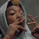 pfp