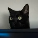 .pandxrz
