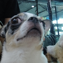 avatar อร่อย(aroi)