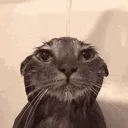 otei