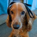 avatar jenzie ཐི♡ཋྀ