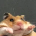 littlelittlesausage
