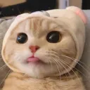 unfazed_ow
