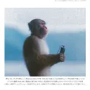 monkkei