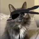 ninjab0t1nf avatar
