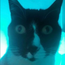 avatar boast🇬🇧