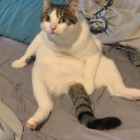 avatar boast🇬🇧