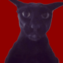 avatar Kumido Dikatxupa