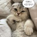 BannerURL