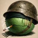hokkoy