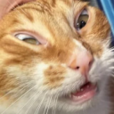 avatar LilyMakesThings🔺