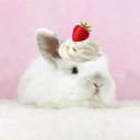 avatar 🧁 ༉‧₊˚ .ᥣׁׅ֪υׁׅᝯׁꪱׁׅꫀ ׁׅ ܻ 𐦍