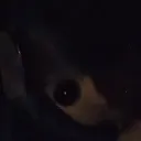 disbandedkhan36