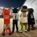 Leo's avatar