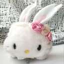 bunnykiddy.