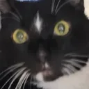 minecraftexpert7