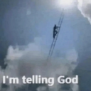 avatar Fox Terminator