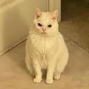 sudemwah
