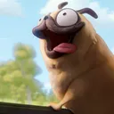 robbew