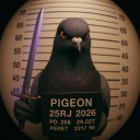 pomboespadachim#6811's avatar