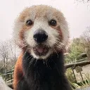 warrenvl