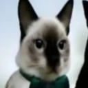 avatar GrandpaMorax✦