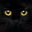 avatar Schwarzekatze8