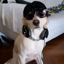 La araÃ±a's avatar