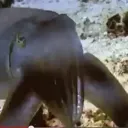 _.m.i.g.u.e.l._ avatar