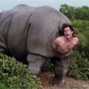 obeserhino0