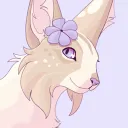 silkenlily