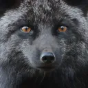 darhk_fox
