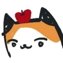 calca1icocat