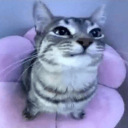 avatar ɥɐɹɯonica