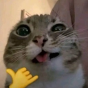 avatar 🇲🇽🥀DҽLαRσʂα🥀🇲🇽