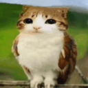 obikym#8683's avatar