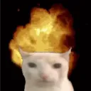 mhpalladion