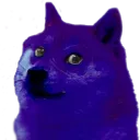 dogepurp