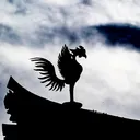 takseki