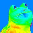snakey8364