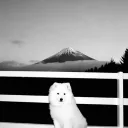 winterhombre
