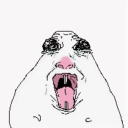 avatar LifeReload.__.