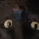 youtubman78