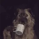 kingshitsbitch